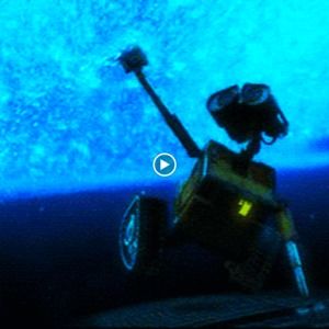 Meet your Posher, Luna